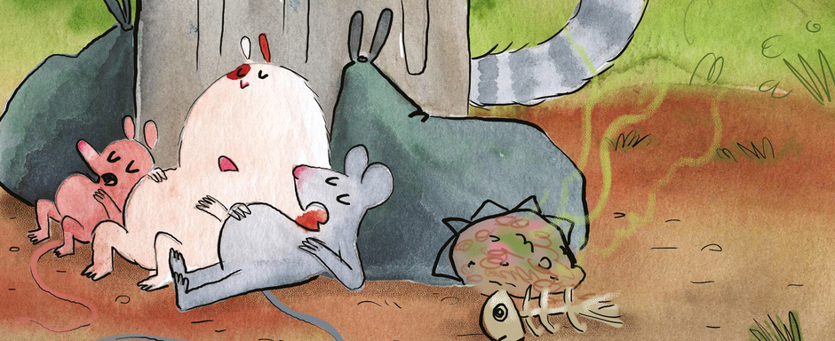 Firmas en Sant Jordi 2026