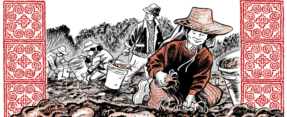 "Insectópolis", "Raíces de Ginseng" y "Una fracción de segundo", nominados por la American Library Association