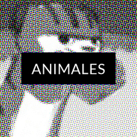 Animales