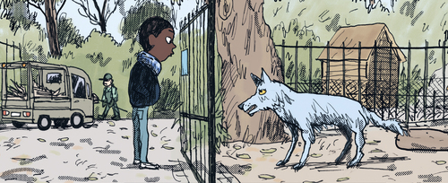 Nueve obras finalistas al Premio TodosTusLibros 2024