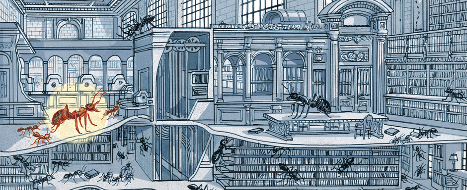 Peter Kuper, autor de "Insectópolis", finalista del Premio Pulitzer 2026